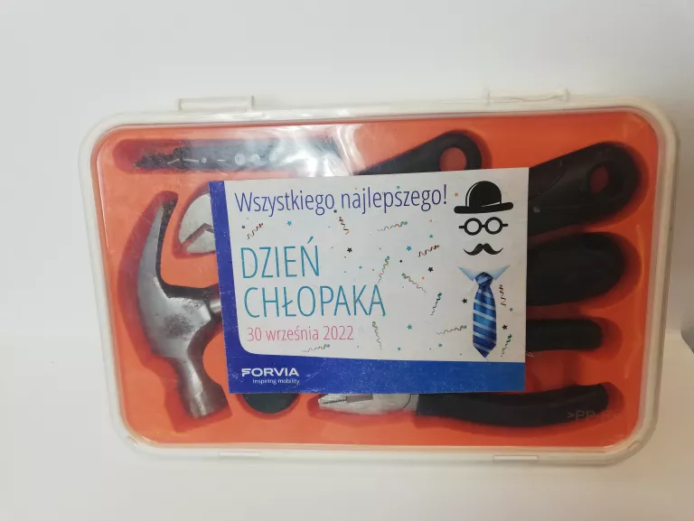 ZESTAW NARZĘDZI FORVITA 18EL