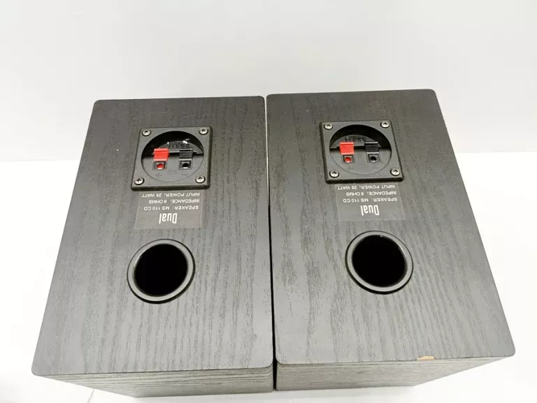 DUAL WIEŻA DVD-MS 110 HDMI USB AUX 50W PUD