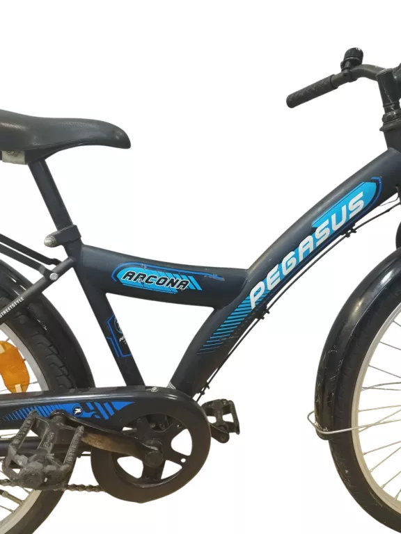ROWER PEGASUS ARCONA