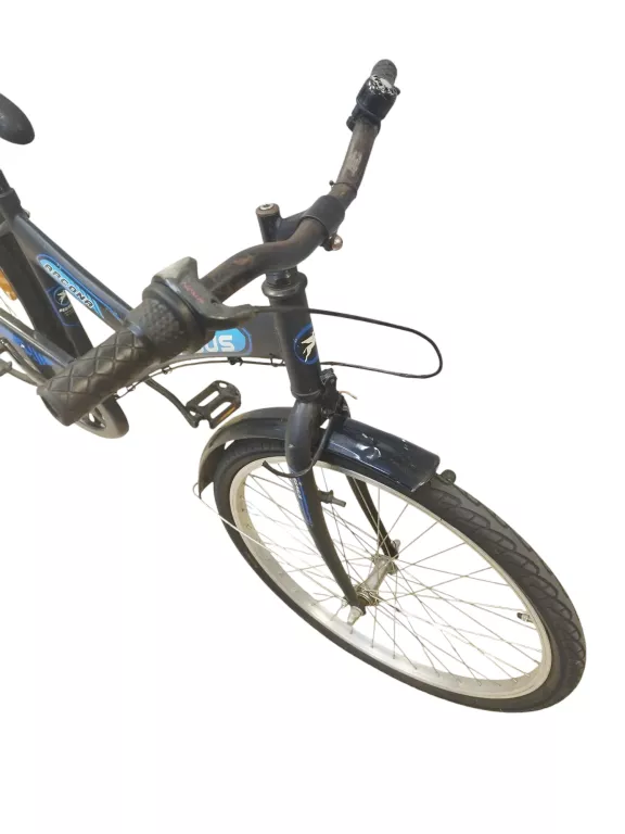 ROWER PEGASUS ARCONA