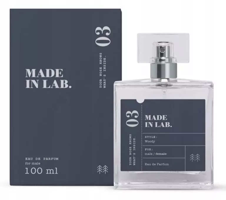 MADE IN LAB 01 MEN WODA PERFUMOWANA MĘSKA 100 ML 5902693163145
