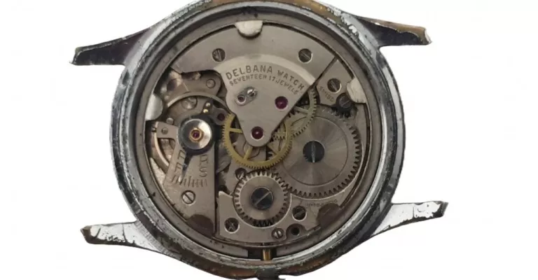 ZEGAREK DELBANA INCABLOC 17 JEWELS