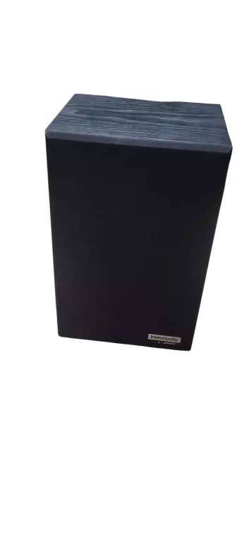 BOSE INTERAUDIO XL1000
