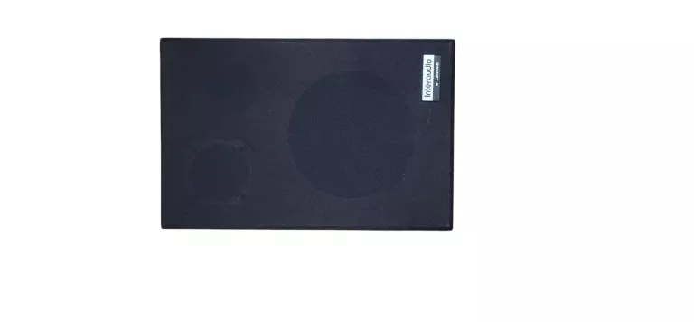 BOSE INTERAUDIO XL1000