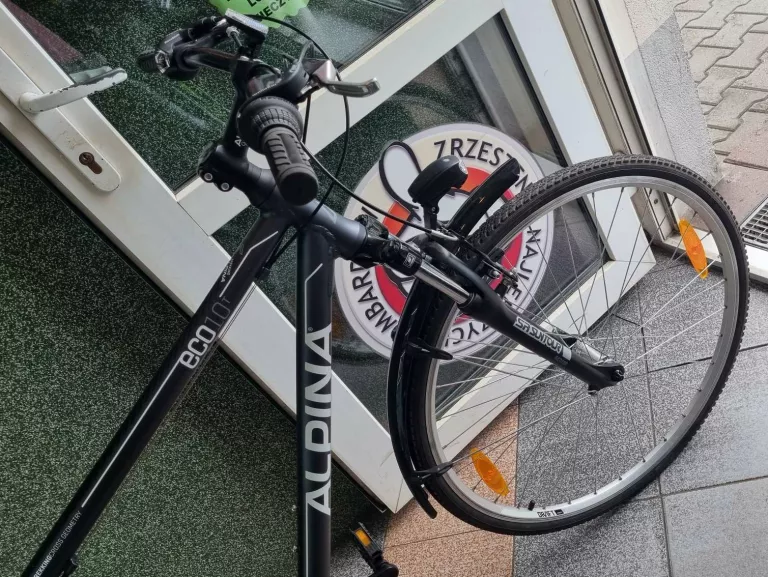 ROWER KELLYS ALPINA ECO 28" T10 M