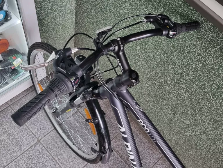 ROWER KELLYS ALPINA ECO 28" T10 M