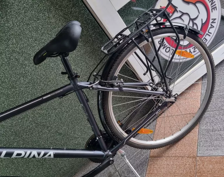 ROWER KELLYS ALPINA ECO 28" T10 M