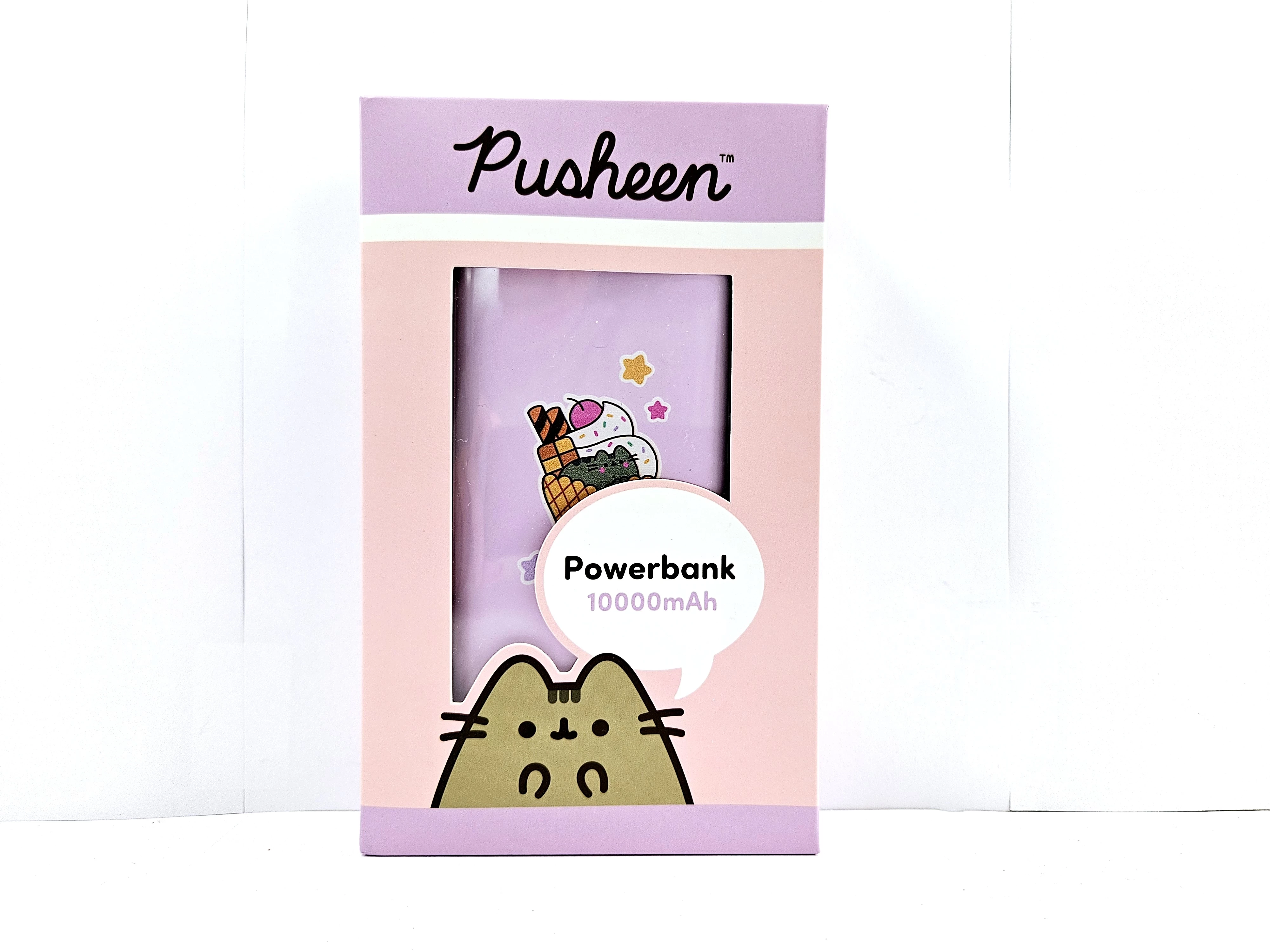 powerbank-pushenn-10000-mah-rogera-slawskiego-19-wiechowicza-poznan-x