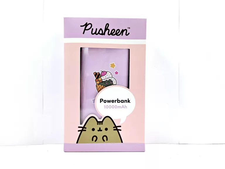 powerbank-pushenn-10000-mah-rogera-slawskiego-19-wiechowicza-poznan-x