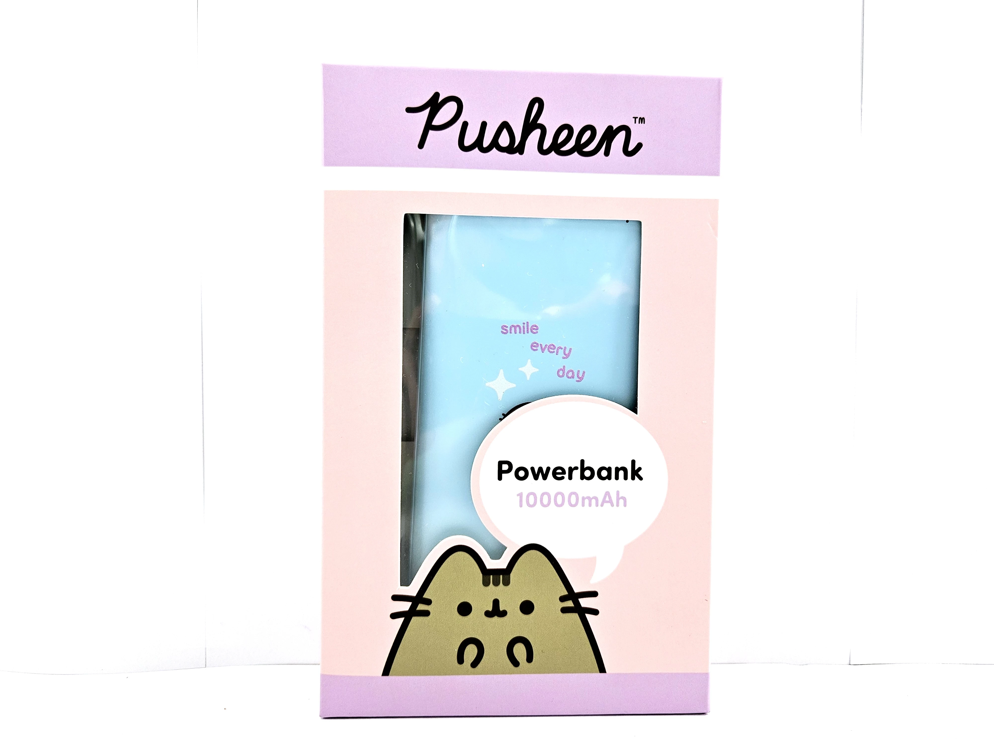 powerbank-pushenn-10000-mah-niebieski-rogera-slawskiego-19-wiechowicza-poznan-x