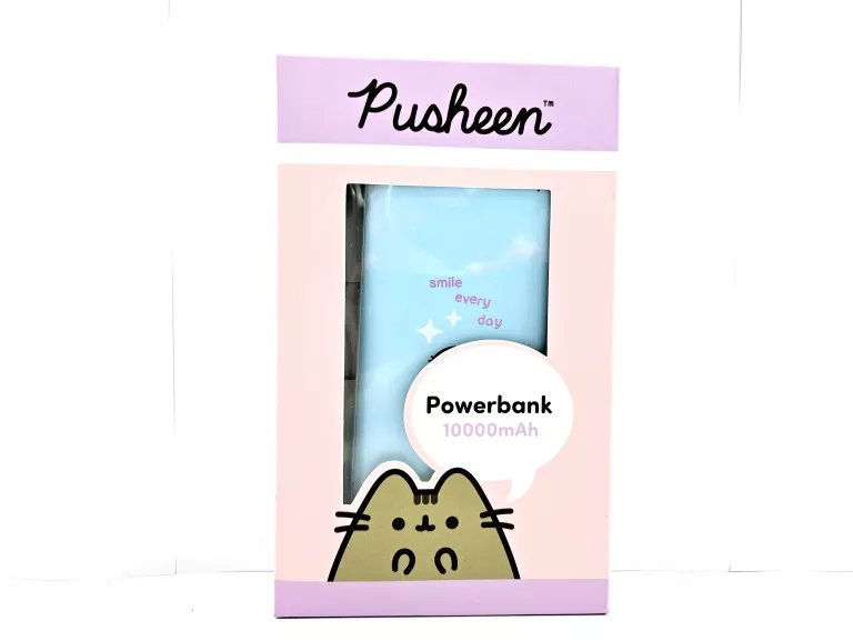 powerbank-pushenn-10000-mah-niebieski-rogera-slawskiego-19-wiechowicza-poznan-x