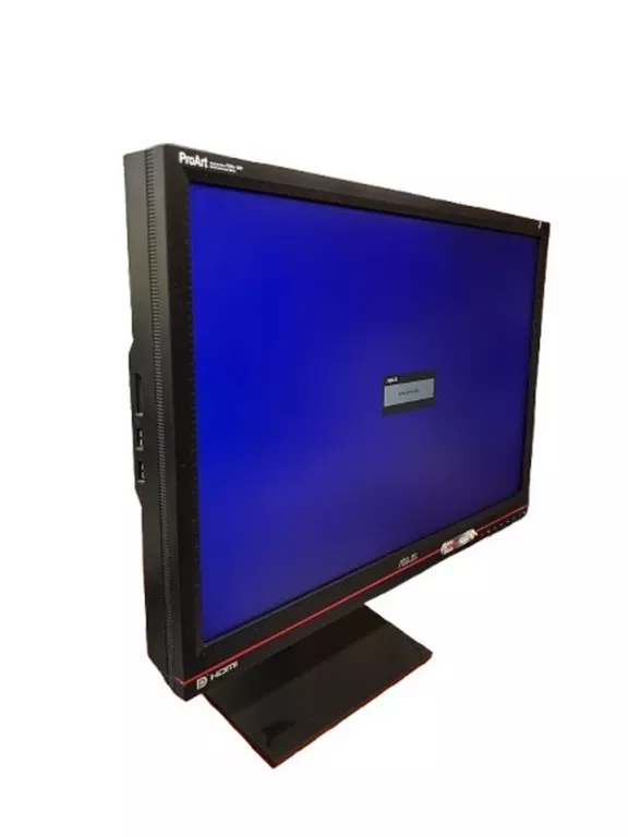 MONITOR ASUS PA246Q