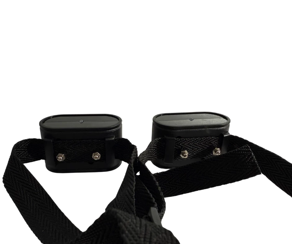 pastuch-elektroniczny-ean-gtin-1111111111