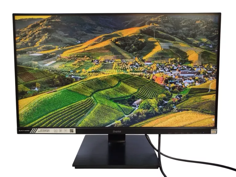 MONITOR IIYAMA G-MASTER G2530HSU 24,5' FULL HD 1MS 75HZ