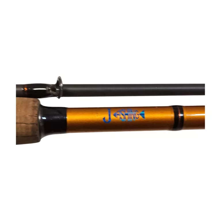 WĘDKA SPINIG LEGEND SPINXH 3.0M 40-80G + ROBINSON CARBONIC RD206