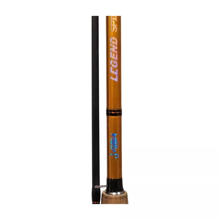 WĘDKA SPINIG LEGEND SPINXH 3.0M 40-80G + ROBINSON CARBONIC RD206