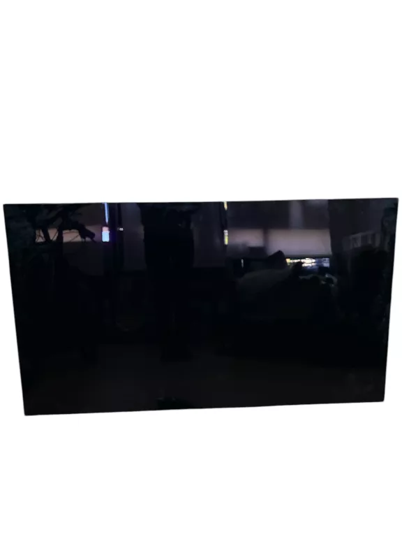 TELEWIZOR LG OLED55B8PLA