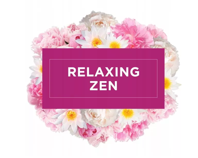GLADE RELAXING ZEN 2X 18ML ODŚWIEŻACZ POWIETRZA WKŁAD ZAPAS 36ML