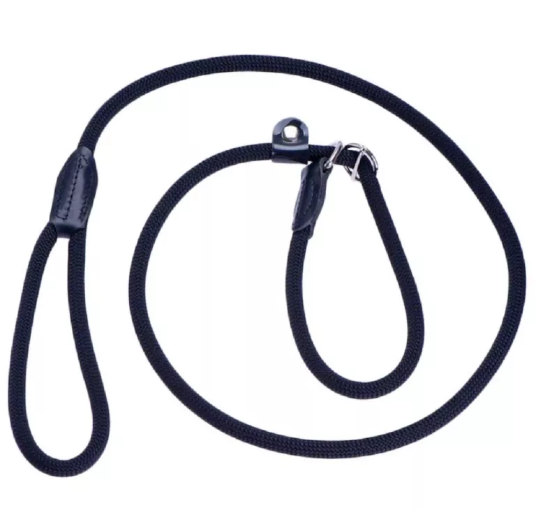 SMYCZ HUNTER RETRIEVER FREESTYLE 170CM
