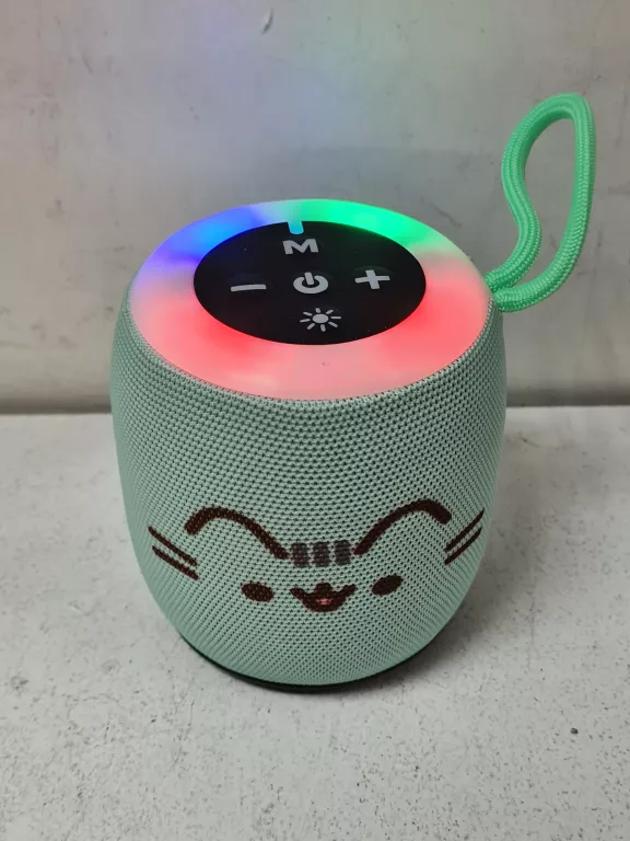 GŁOŚNIK BT PUSHEEN W PUDEŁKU