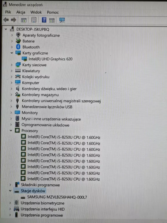 LAPTOP LENOVO THINKPAD X1 CARBON 8 GB / 256 GB / I5-825U / OPIS