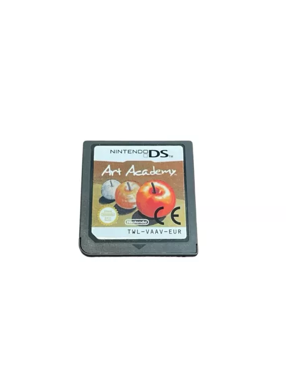 GRA NA NINTENDO DS ART ACADEMY
