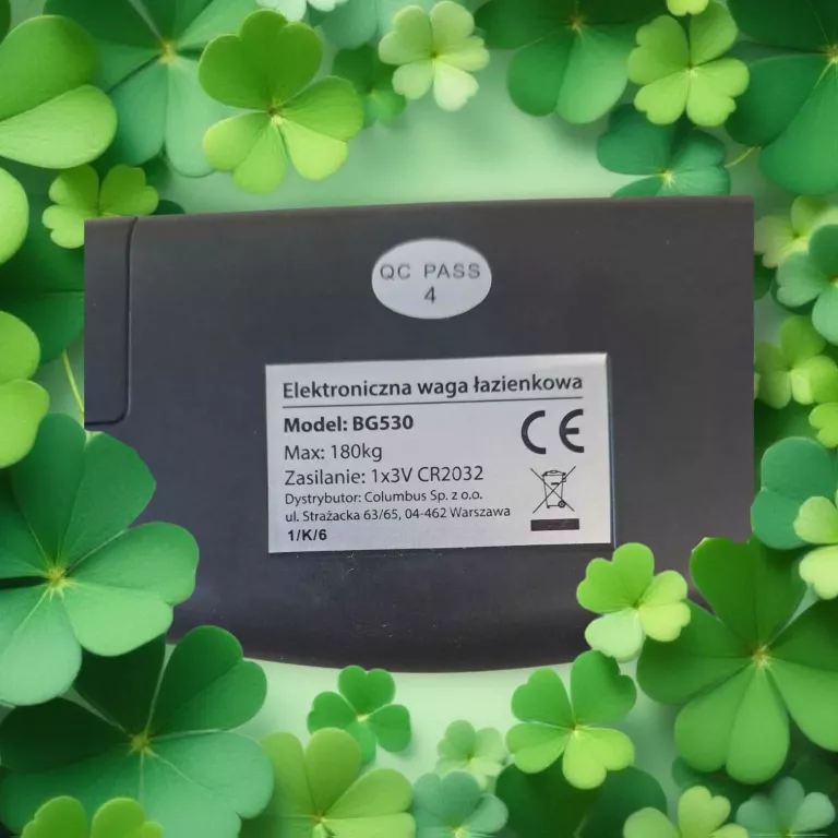 elektroniczna-waga-lazienkowa-ricco-bg530-stan-11323-2