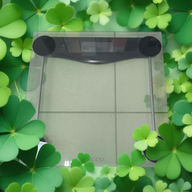 elektroniczna-waga-lazienkowa-ricco-bg530-zdunska-49-lowicz