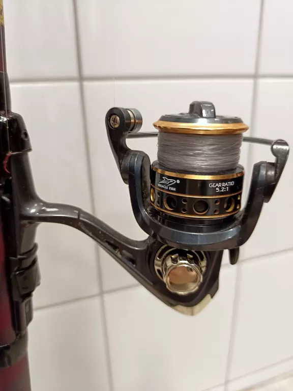 wedka-mikado-bolonka-princess-bolognese-600-do-20g-kolowrotek-kfb-2000-kod-producenta-princess-bolognese