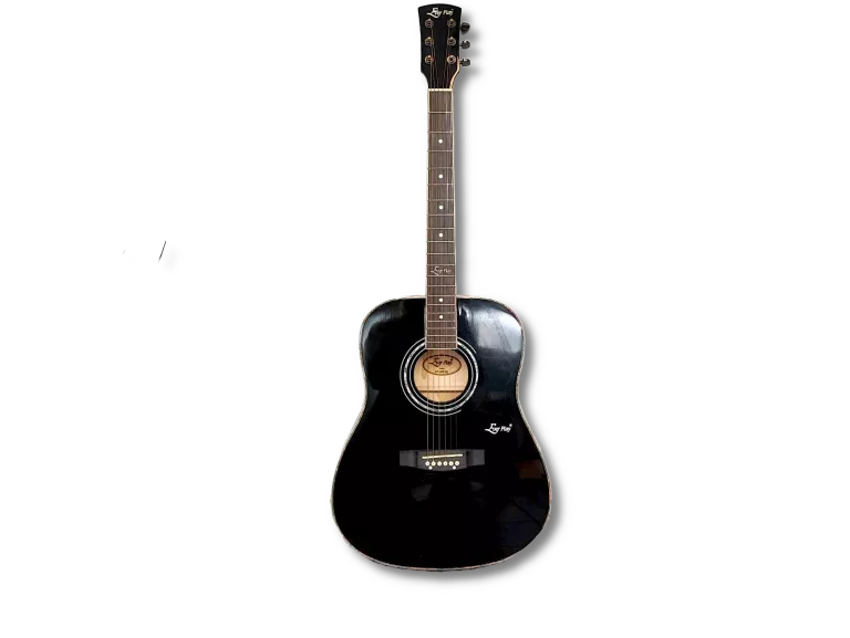 GITARA AKUSTYCZNA EVER PLAY AP-400 BK