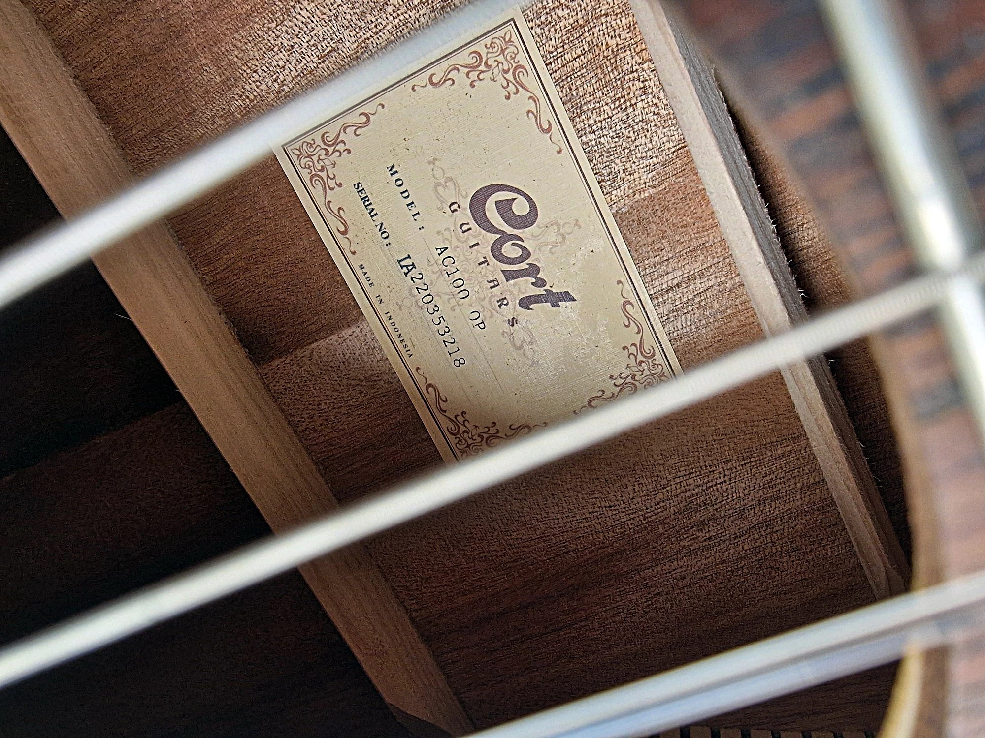 sd