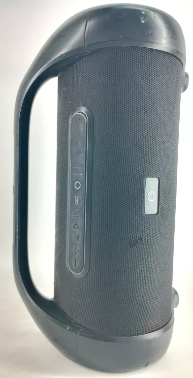 GŁOŚNIK PRZENOŚNY MANTA SPK310