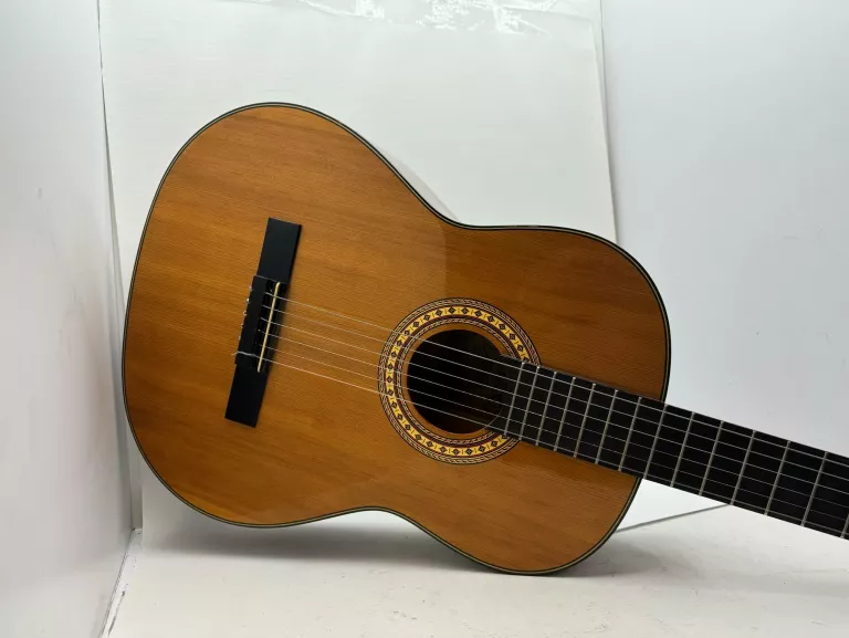 GITARA KLASYCZNA MOTION TC 901