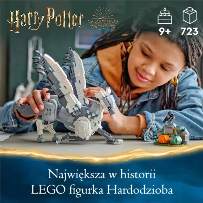 LEGO HARRY POTTER 76427 HARDODZIOB