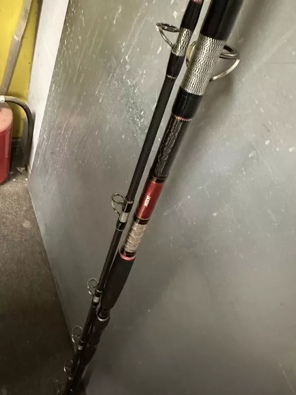 WĘDKA JAXON EXTERA CAT FISH 315CM / 500G
