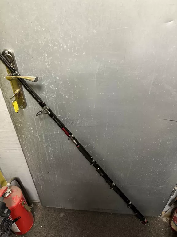 WĘDKA JAXON EXTERA CAT FISH 315CM / 500G