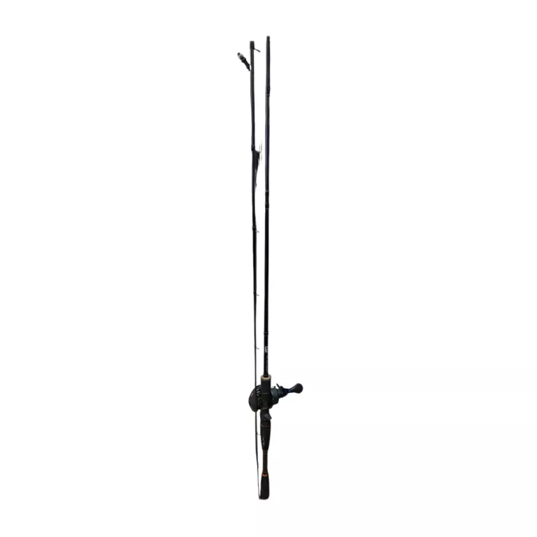 DAM YAGI CAST 2,20 + MULTIPLIKATOR LEW'S SPEED SPOOL INSHORE LFS