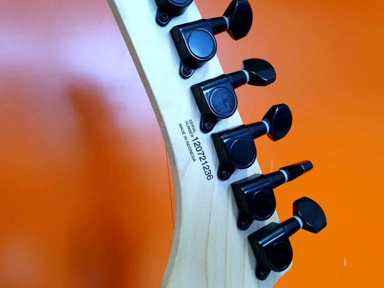 GITARA ELEKTRYCZNA PARKER PDF 40
