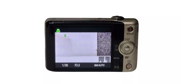 aparat-cyfrowy-sony-dsc-wx220-stabilizacja-14349-4