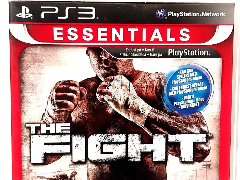 GRA PS3: THE FIGHT