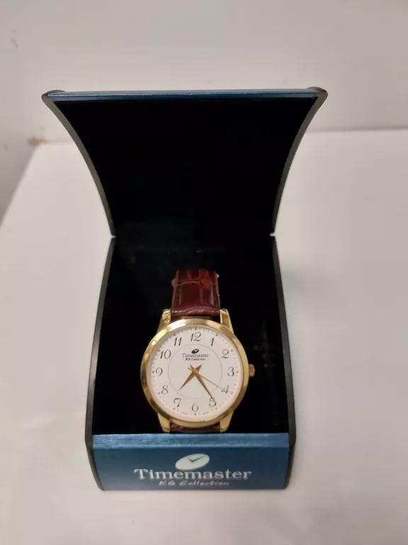 ZEGAREK MĘSKI TIMEMASTER 117/47