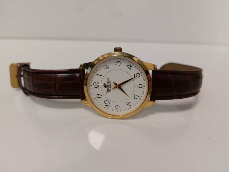 ZEGAREK MĘSKI TIMEMASTER 117/47