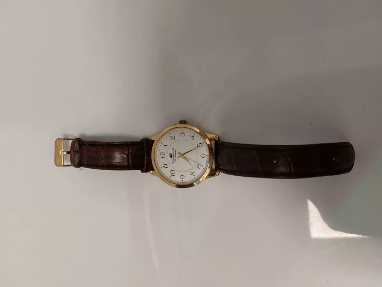 ZEGAREK MĘSKI TIMEMASTER 117/47