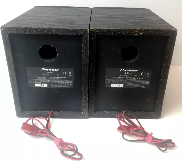 MINIWIEŻA PIONEER X-EM11