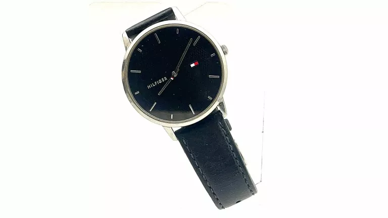 ZEGAREK MĘSKI TOMMY HILFIGER TH 317.1.14.2719