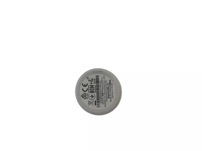 SMARTWATCH HUAWEI WATCH GT-1