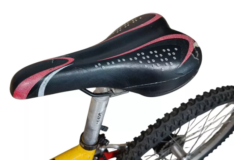 ROWER AUTHOR 24 "