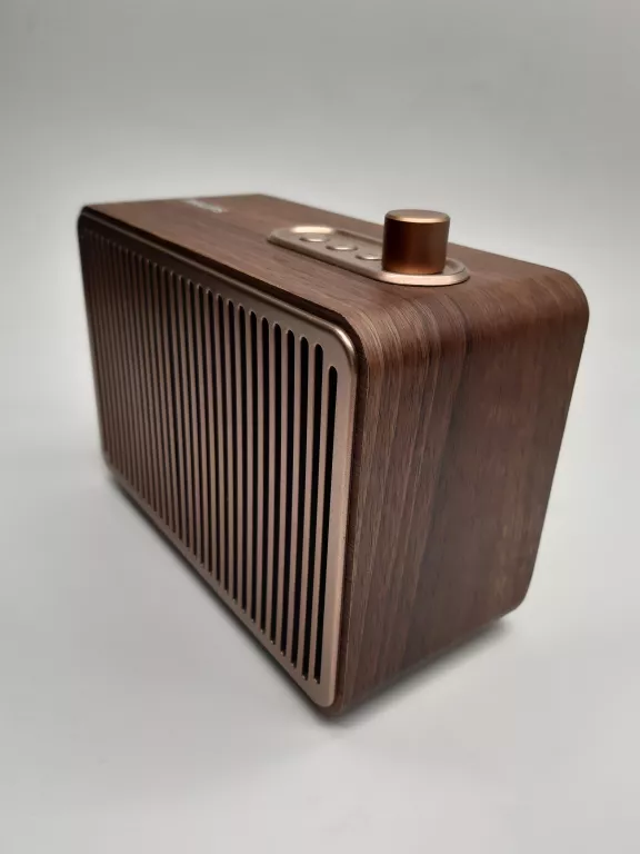 GŁOŚNIK MOBILNY PHILIPS TAVS500/00 BRĄZOWY