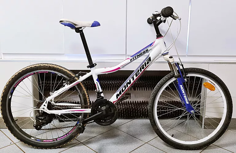 ROWER MONTERIA FITNESS 24 R13 D 2019 BIA-FIO-RÓŻ