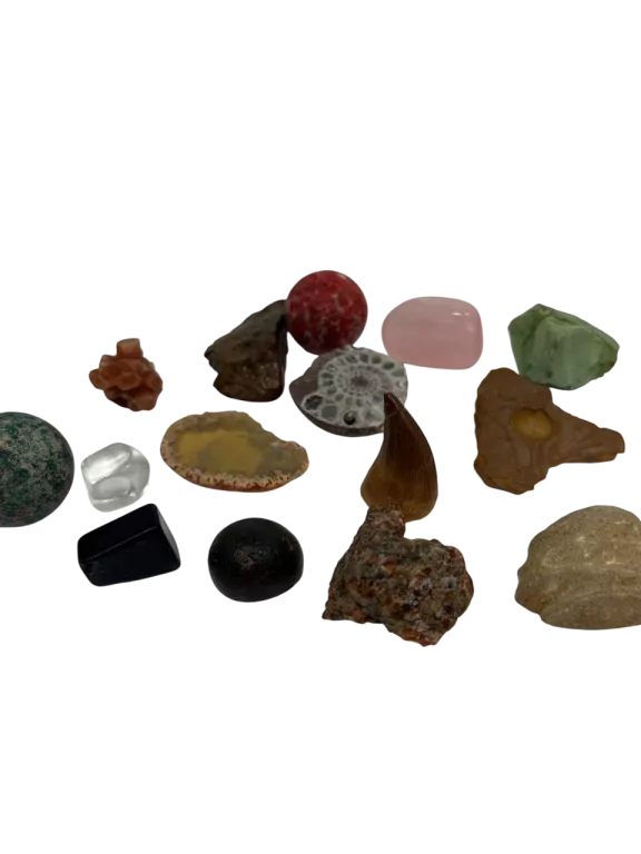 PUDEŁKO Z KAMIENIAMI SZLACHETNYMI, MINERAŁAMI KRZEMIENIEM I ZĘBEM MOZOZAUR